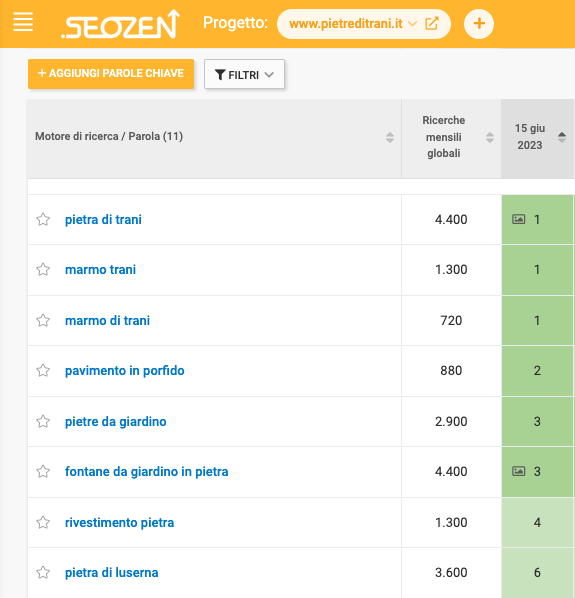 il mio posizionamento di Seozen