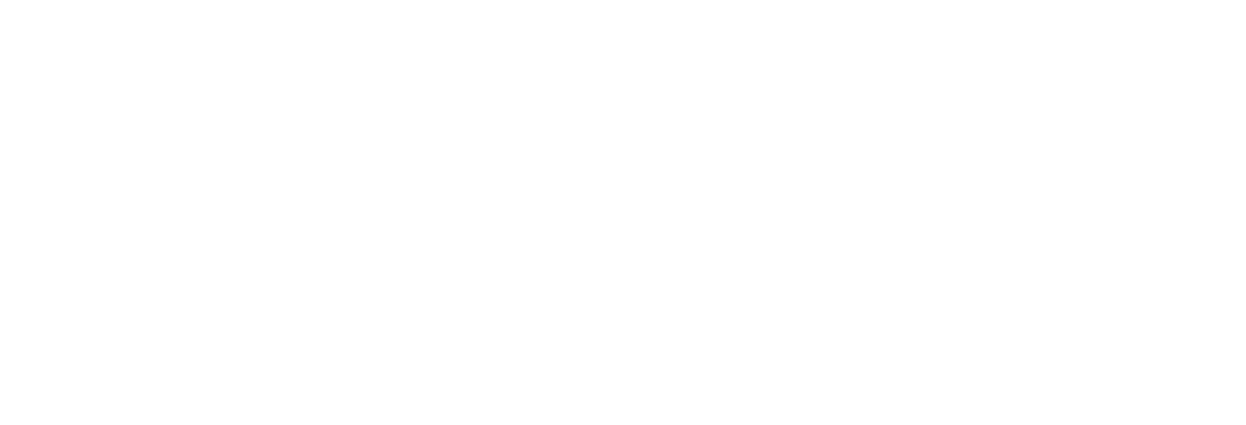 seozen, software seo per PMI, software seo per piccole imprese